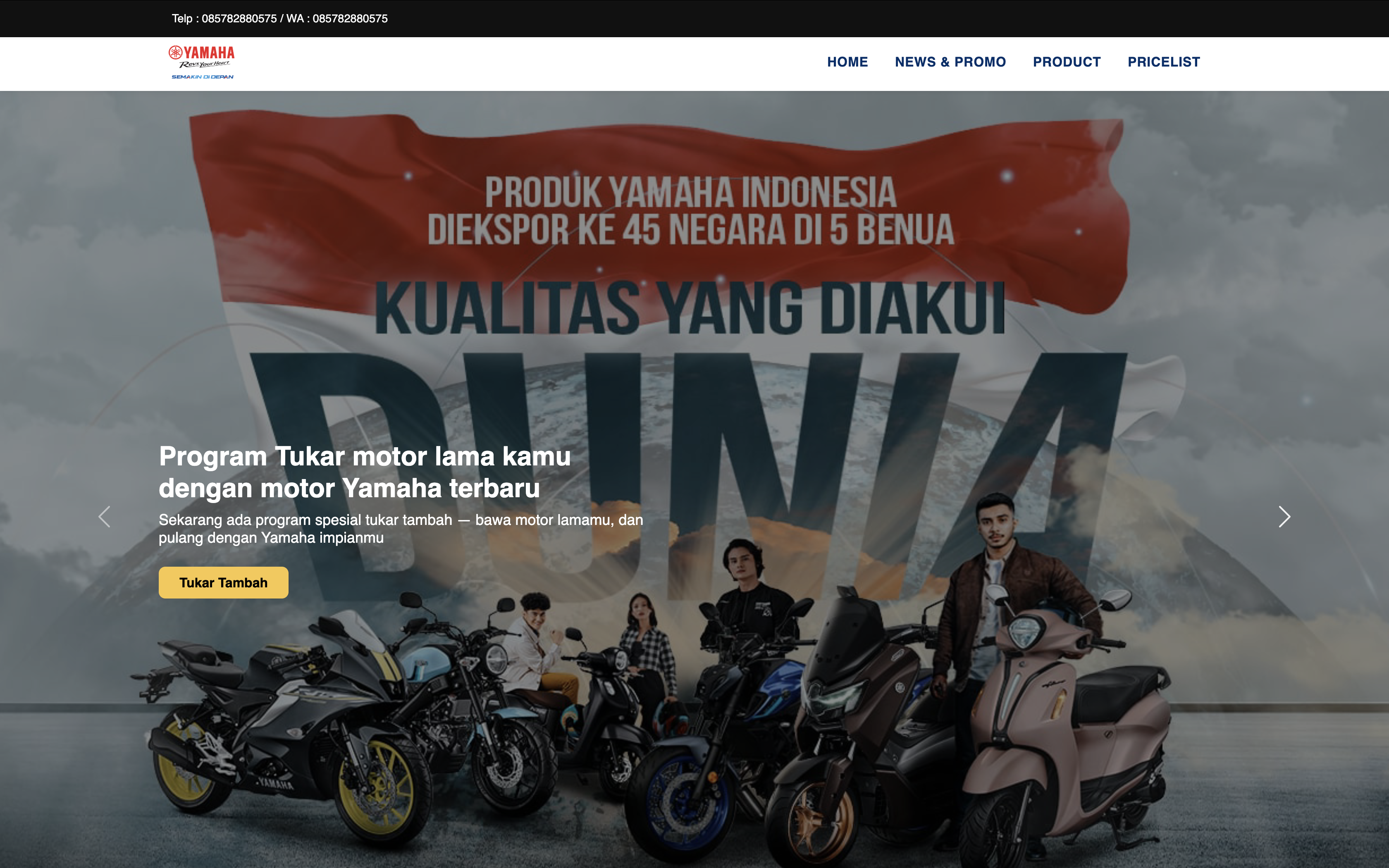 Website Project 2